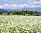 今話したい！楽しくて落ち着く時間✨お話お聴きします 雑談・愚痴・お試し歓迎✨少しだけでも◎安心して話せる時間を。 イメージ7