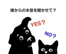 Yes、No をハイヤーセルフからお伝えします 迷いの霧が晴れるかも！今の選択に答えが出て心もスッキリ♪ イメージ1