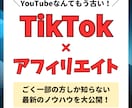 最新版！TikTokアフィリで稼ぐ仕組みを教えます 編集スキル・顔出し・声出し一切不要！仕組みの裏側大公開！ イメージ1