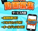 YouTube向け動画！編集代行いたします オールジャンルOK！ご希望のイメージに合わせて編集します！ イメージ1