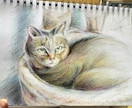 猫ちゃんをクレヨン、色鉛筆、水彩絵の具で描きます 雰囲気に合せた画材を使いA4の紙に描き額に入れて郵送します イメージ5