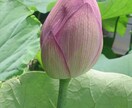 生きづらさ、解決します あなたの苦しみを私に投げかけ、そして楽になってください。 イメージ1