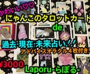 かわいい!!にゃんこカードで過去現在未来占います 【10名様限定!鑑定時の画像無料特典付き♡】 イメージ1