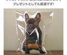 スタイリッシュなペット（犬猫）のクッション作ります メモリアルやインテリア、結婚式のウェルカムボードの代わりに! イメージ6