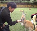 スベらない旅をご提案します 30年の旅行のプロが、旅の醍醐味を味わえるコースをご提案！ イメージ1