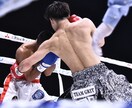 ボクシングの技術ボクシング練習メニュー相談乗ります 現役世界ランカーがボクシング相談乗ります イメージ3