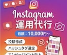 Instagram運用代行承ります 徹底リサーチ！１ヵ月１万でフォロワー増加 イメージ1