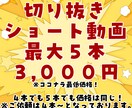Vtuber必見！見て楽しいShort動画作ります 面白い、楽しいを最大限に表現したShorts動画を作ります。 イメージ1