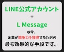LINE公式アカウント作成もエルメの導入もやります エルメもセットで導入して機能をさらに強化します！ イメージ9