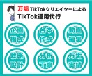 万垢運用者がTikTokの運用代行を丸っと承ります 複数ジャンルで万垢を育てたTikTokクリエイターがサポート イメージ1