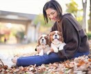 お相手との関係性を浄化するエネルギーワーク致します 人やペットなどとの関係性を良くするエネルギーワークになります イメージ4