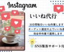 Instagramのいいね運用を代行し集客します 狙ったターゲット層にいいねして販売に繋がるサポートをします イメージ1