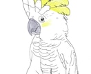 即日納品可能、画像を参考に鉛筆画をお届けします 画像を元にスケッチ画から全面カラーの絵画まで心温まる物に。 イメージ5