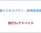 ビジネスプランの壁打ち相手になります ※香港在住の元米系ヘッジファンド勤務がサポート(日英可) イメージ1