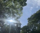 ネガティブな感情を癒すレメディをお選びします 7種類までの必要なレメディが穏やかに感情バランスを整えます イメージ4