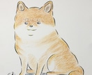絵本風の優しいペットイラストをお描きします 絵本のタッチで見返したくなる！かわいいペットの姿そのままに！ イメージ8