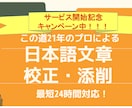 あなたの文章に率直な感想＆校正アドバイスします 翻訳・通訳・校正歴21年のプロによる高品質なサービスです イメージ1