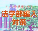 法学部編入の「家庭教師」になります ＊京大トップ合格者と法学・政治学を完全対策しましょう！ イメージ1