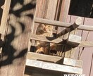 旅行、お出かけの写真を編集します 沢山撮ったお写真を写真業で培ったカメラマン目線で編集します！ イメージ4