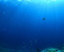タロットで《前世からのメッセージ》をお届けします ｜魂の学びと、今の悩みを癒やすヒント☆ イメージ7