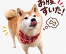 愛犬の写真から可愛いLINEスタンプを作ります 最新AI×丁寧な画像補正で、世界にひとつのスタンプを制作！ イメージ4