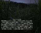 本を読んで２０００字程度の紹介記事を執筆します ☆〇〇様専用のサービスです☆他の方はご購入いただけません イメージ2