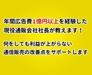 通信販売（オフライン）のお悩みご相談に乗ります 何をしても利益が上がらない通信販売の改善点をサポートします イメージ2