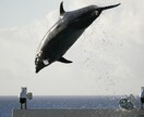 今しかない大切な時間を写真に残すお手伝いをします 母子家庭、父子家庭の方 思い出の形は一緒に残しませんか？ イメージ4