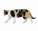 猫・ペットの布コラージュ作品を制作します 写真から布と手縫いでペットアート制作 イメージ9