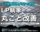 売り上げ、集客UPにつながるLPを制作します あなたの商品をより魅力的に伝えるLPを制作いたします。 イメージ1