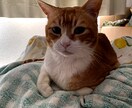 もうなんでも聞きます 話したり聞いたり吐き出すことで運気アップ イメージ1