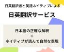 安心のクオリティ！日本語→英語翻訳承ります 日英翻訳者とネイティブの二人体制で自然な英語に翻訳いたします イメージ1