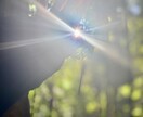 高次元の光で照らし、心の真実を視ます ✴︎内側の光を思い出す✴︎魂の声、メッセージをお届けします イメージ2