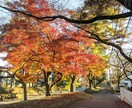 あなたが撮影した写真を補正します 人物、物、風景なんでも構いません！ イメージ2