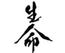 力強く品のある筆文字をお書きします 書道歴20年以上！記憶に残る店名・商品名は筆文字で イメージ9