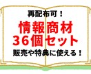 再配布可能！副業コンテンツ36個を激安販売します 売る商品がない人、特典がない人に最適！そのまま販売OKです！ イメージ1