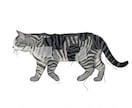 猫・ペットの布コラージュ作品を制作します 写真から布と手縫いでペットアート制作 イメージ9