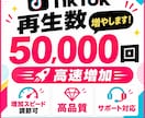 TikTok 再生回数5万回増やします 高速増加で減少無し！ゆっくり増加したい時はオプションで◎ イメージ6