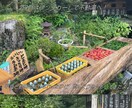 雰囲気をそのままVlogの動画作成します 日常Vlog向け｜やさしい雰囲気のショート動画編集します イメージ4
