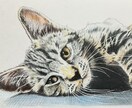 ペット似顔絵を色鉛筆で2Lサイズに描きます 写真を元に色鉛筆でペットの似顔絵をリアルに描きます。 イメージ6