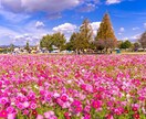 子どもの才能や可能性が分かる♡手相鑑定します 保育士の視点でその子の良い所をたくさんお伝えします♪ イメージ5