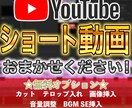 バズるショート動画！作成します 元大手芸能事務所SNS担当がバズるショート作ります‼ イメージ1