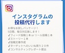 お試しプラン！Instagramの投稿代行します 丸投げで毎日投稿を実現！面倒な投稿作業を代行いたします！ イメージ1