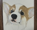 お写真からペットの似顔絵を描きます アナログで温かさを大切に描きます。 イメージ2