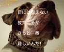 子育て／幼児教育についてや先生方のお悩みに答えます プロの意見を聞いて問題解決！個性を伸ばす教育のお手伝い！ イメージ3