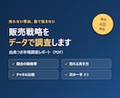 あなたの商品の販売戦略を調査しレポートにします 競合価格・売れ筋・販売チャネルを1本のレポートに イメージ4