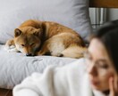 どう思ってる？ペットちゃんの心の声を聴きます あなたの想いとペットちゃんの想いを繋ぎ、心の絆を深める鑑定 イメージ10