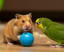 ワンちゃん・ネコちゃん　ペットの気持ち霊視します エキゾチックペットもOKです　ペット関係のお悩みも可ですよ イメージ4