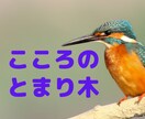 こころのとまり木お貸しします ストレスで疲れたこころの翼を休めにきませんか？ イメージ1
