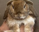 ケアマネに聞いてみたいことにお答えします 3日間チャットでお話しましょう！ イメージ1